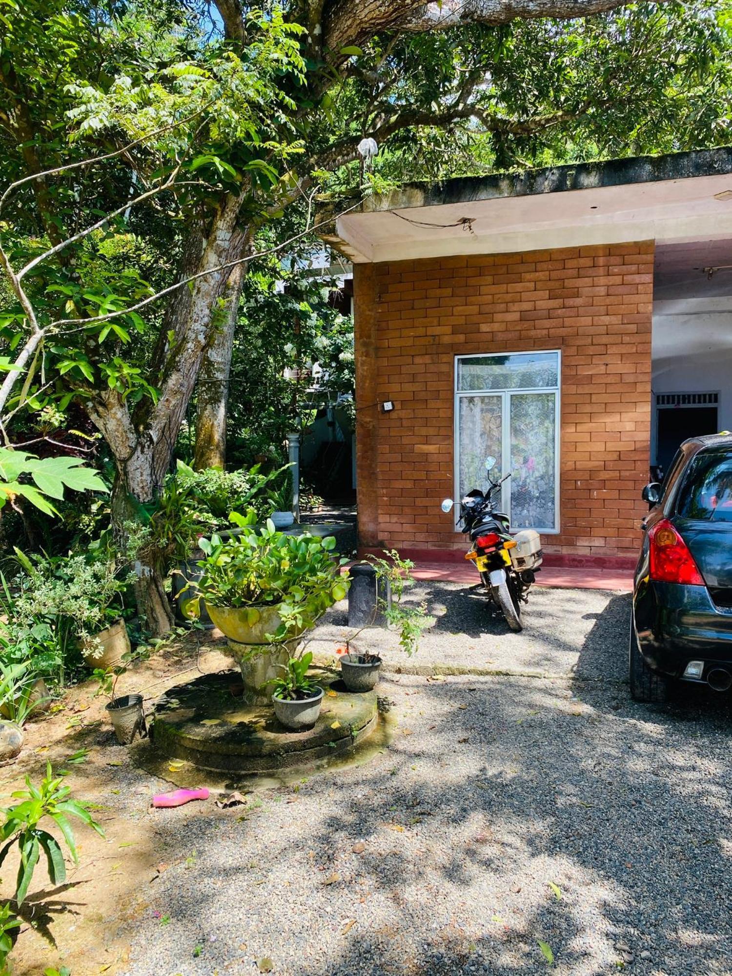 Little Mount Guest House Mirissa Exterior photo